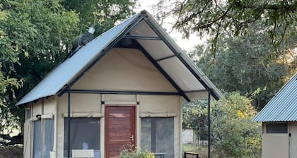 Our camp at Mongwe is heaven on earth if you like living with nature.