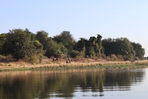 Miscellaneous - Our camp at Mongwe is heaven on earth if you like living with nature. (Mashonaland West Province)