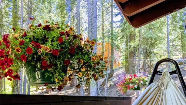 A hammock with a person reclining, a white mug, and a view of a forest with hanging flower baskets. - Palisades-Alpine Home w/ Hot Tub (Alpine Meadows)