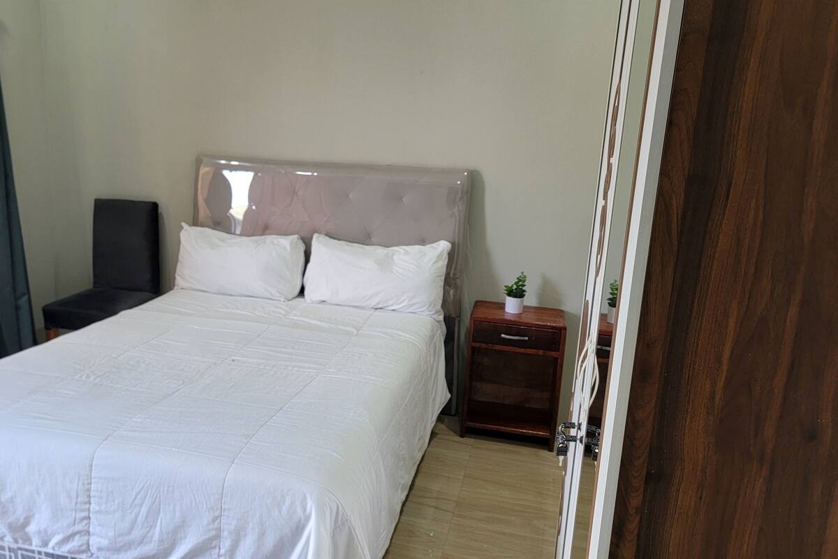 A neatly made bed with white linens, a wooden nightstand with a small plant, and a closed door to the right.