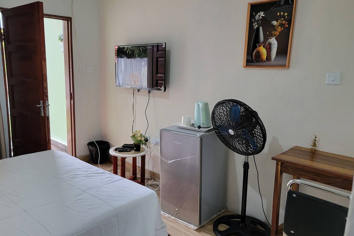 A hotel room with a bed, a TV mounted on the wall, a refrigerator, a fan, and a small table with a plant.