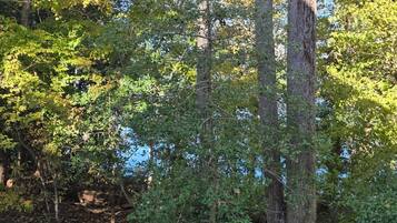 Àrea exterior de l'allotjament