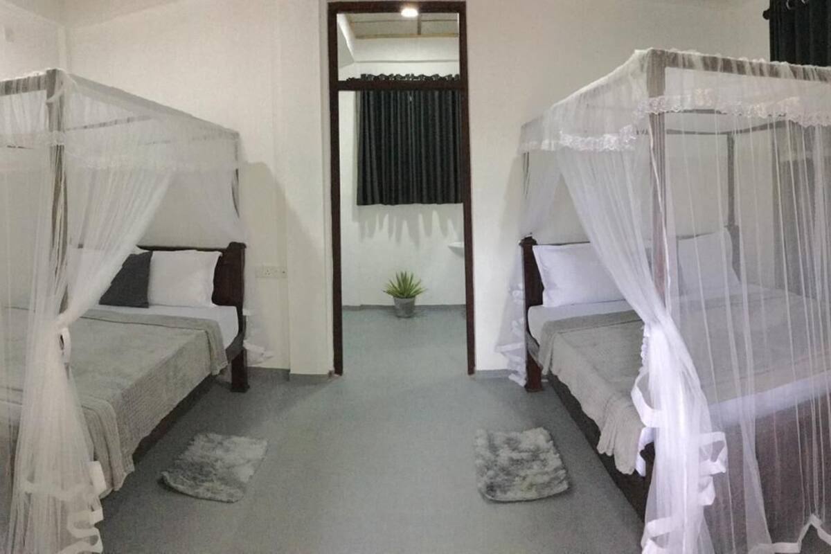 A room with two beds, each with a canopy. There is a small potted plant in the center of the room.