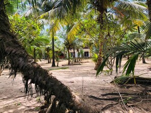 Garden - Sun Ray Beach Villa (Kahandamodara)