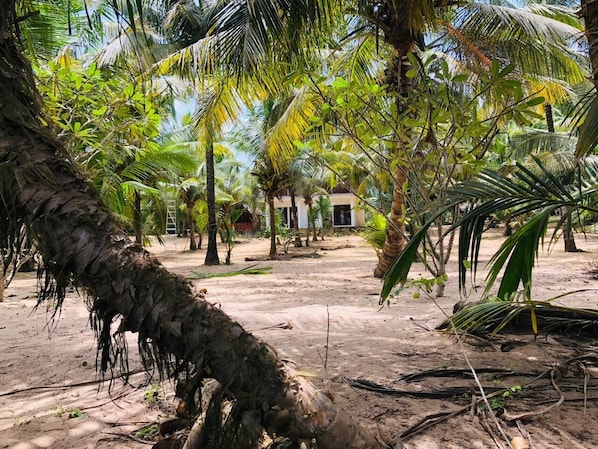 Jardín