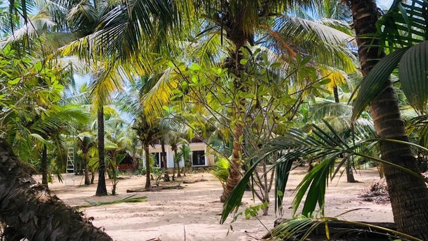 A sandy outdoor area with palm trees and a building in the background. - Sun Ray Beach Villa (Kahandamodara)