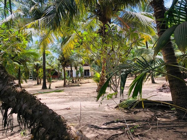Jardin
