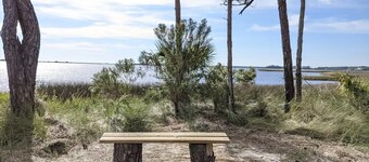 Cozy Panacea Retreat #3 (King)