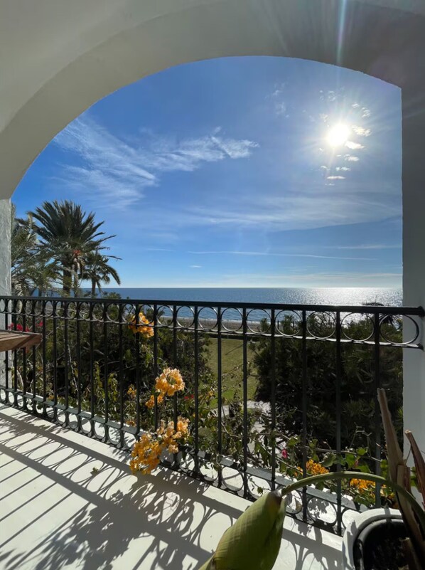 A balcony with a view of the sea, a palm tree, and yellow flowers.