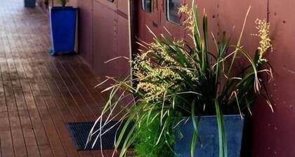 Red Rattler Retreat, Windeyer, Mudgee