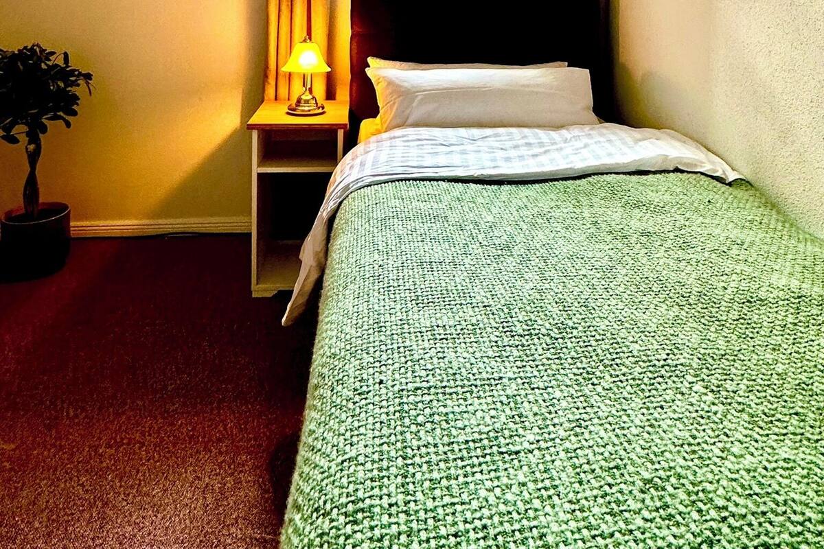 A hotel room with a bed, a nightstand with a lamp, a window with curtains, and a potted plant.