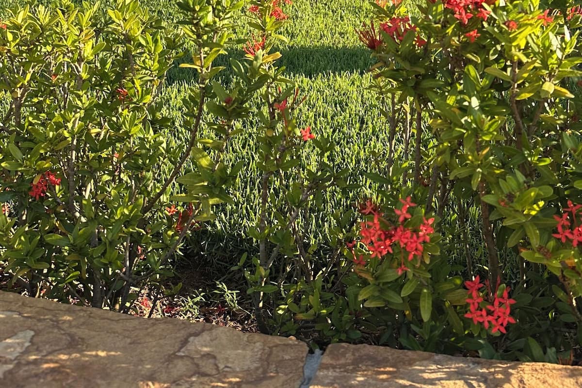 Lanai