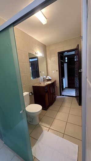 Chambre Confort Double ou avec lits jumeaux, véranda, vue jardin | Salle de bain | Serviettes fournies, papier toilette