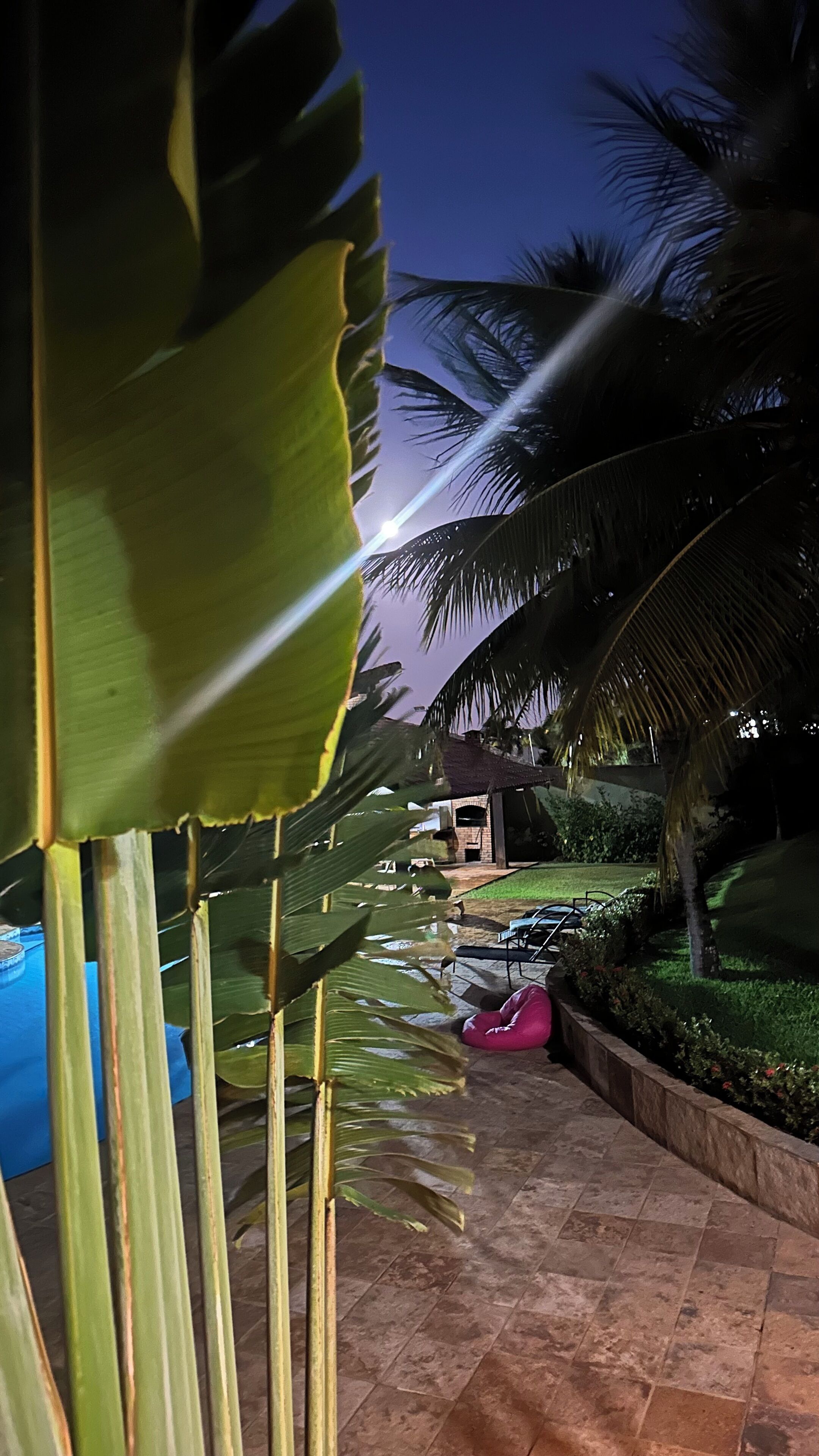 Piscine extérieure, chaises longues