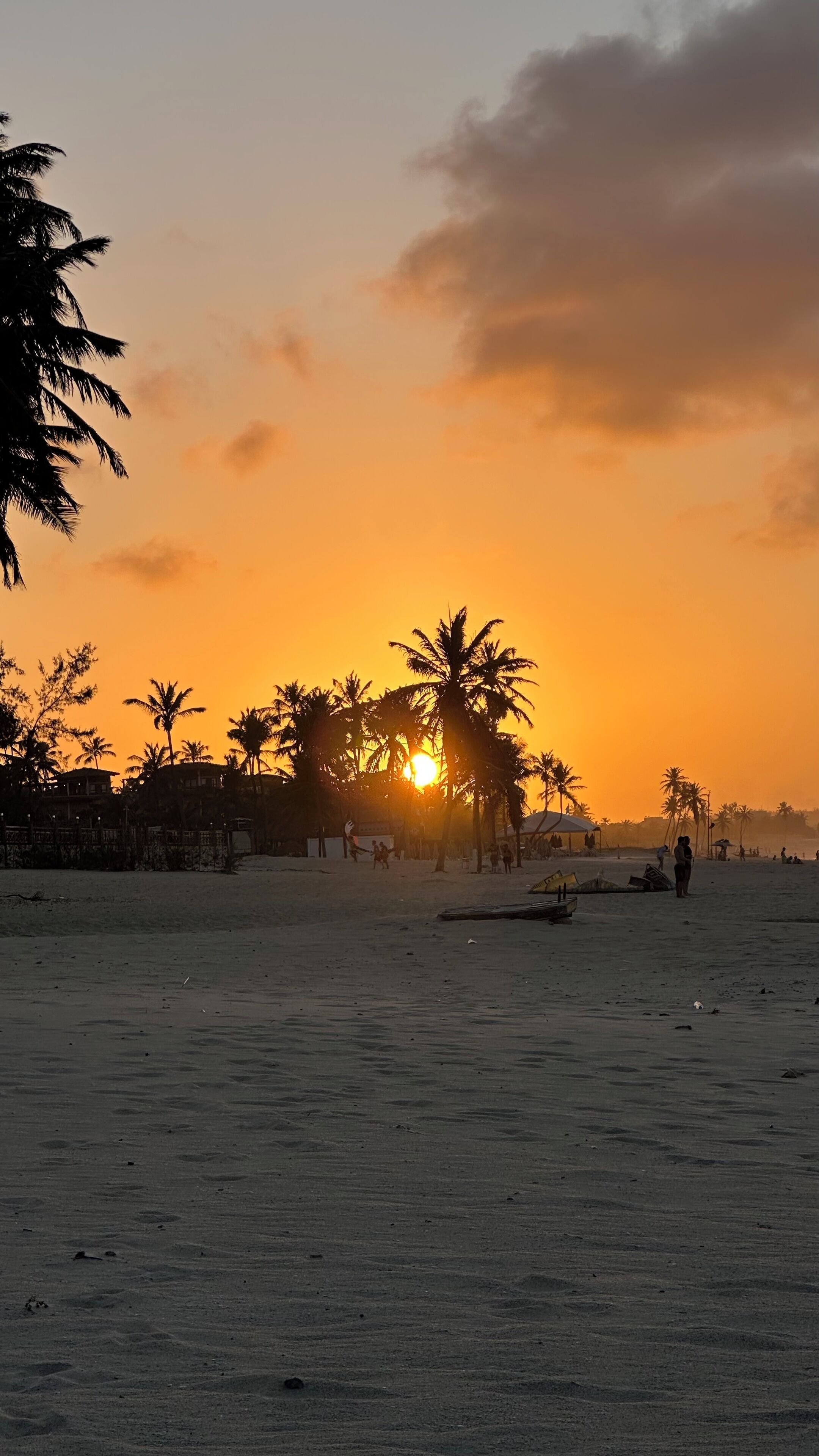 Plage à proximité, sable blanc, navette pour la plage, 10 bars de plage