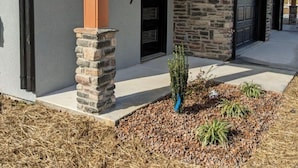 A modern house with a stone facade, a number '169' on the wall, and a small garden area with plants.