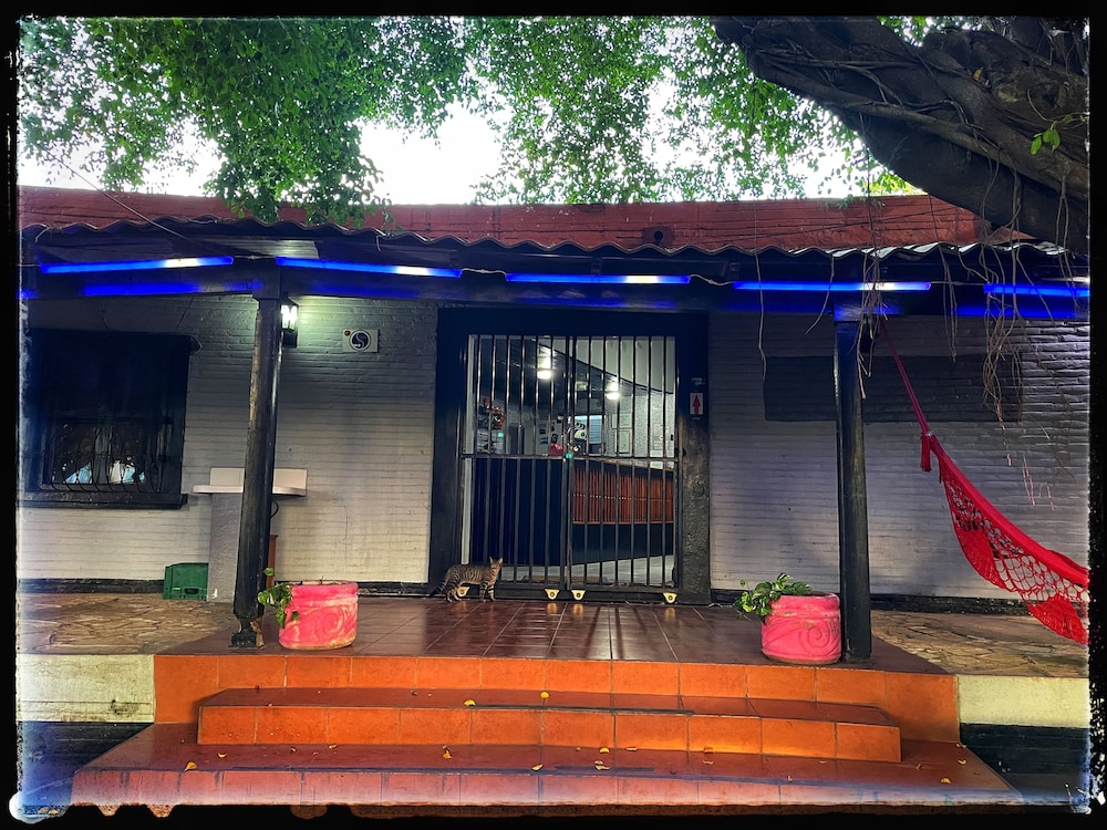 Hotel Oasis Managua photo 6