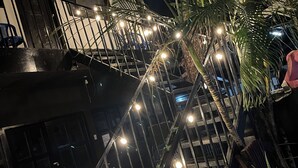 Un escalier avec des rampes en métal et des guirlandes lumineuses, entouré de plantes en pot.