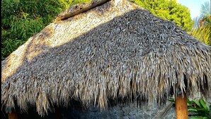 Une cabane au toit de chaume, avec un hamac et une piscine.