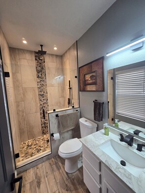 Regadera, secadora de cabello, toallas, jabón 