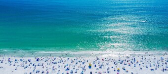 🦩Book Me Baby! Wildflower Inn Siesta Key #4 Frangipani🦩