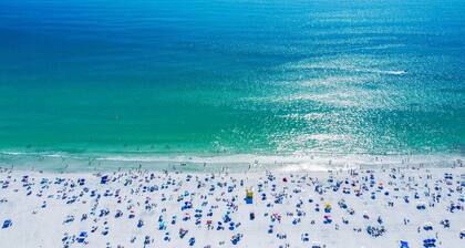 🦩Book Me Baby! Wildflower Inn Siesta Key #4 Frangipani🦩
