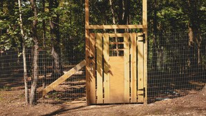 A wooden gate with a metal fence in a wooded area.