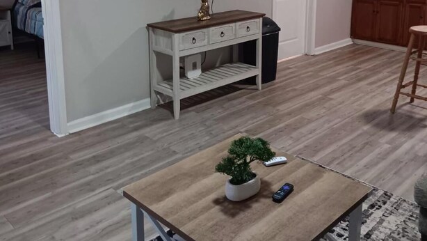 A living room with a TV, a small table with a plant, and a kitchen area with cabinets and a microwave. - Charming, private house minutes from PADRE ISLAND  Corpus Christi. 2 full baths (Corpus Christi)