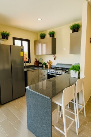 Oven, stovetop - Beach, Restaurants, Pools, Bbq & More in One Place (Punta Cana)