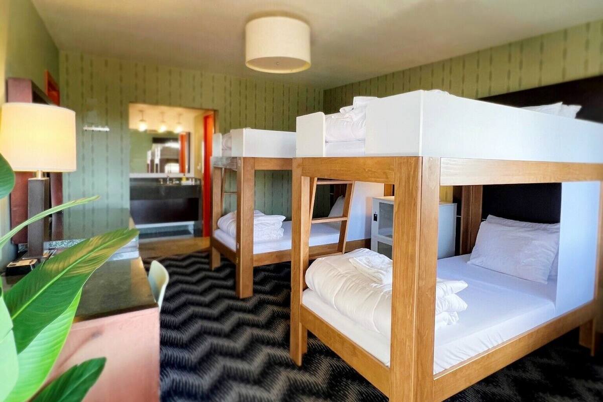 A hotel room with bunk beds, a desk with a lamp, and a large plant.