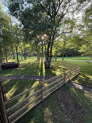 A fenced outdoor area with trees and a pathway.