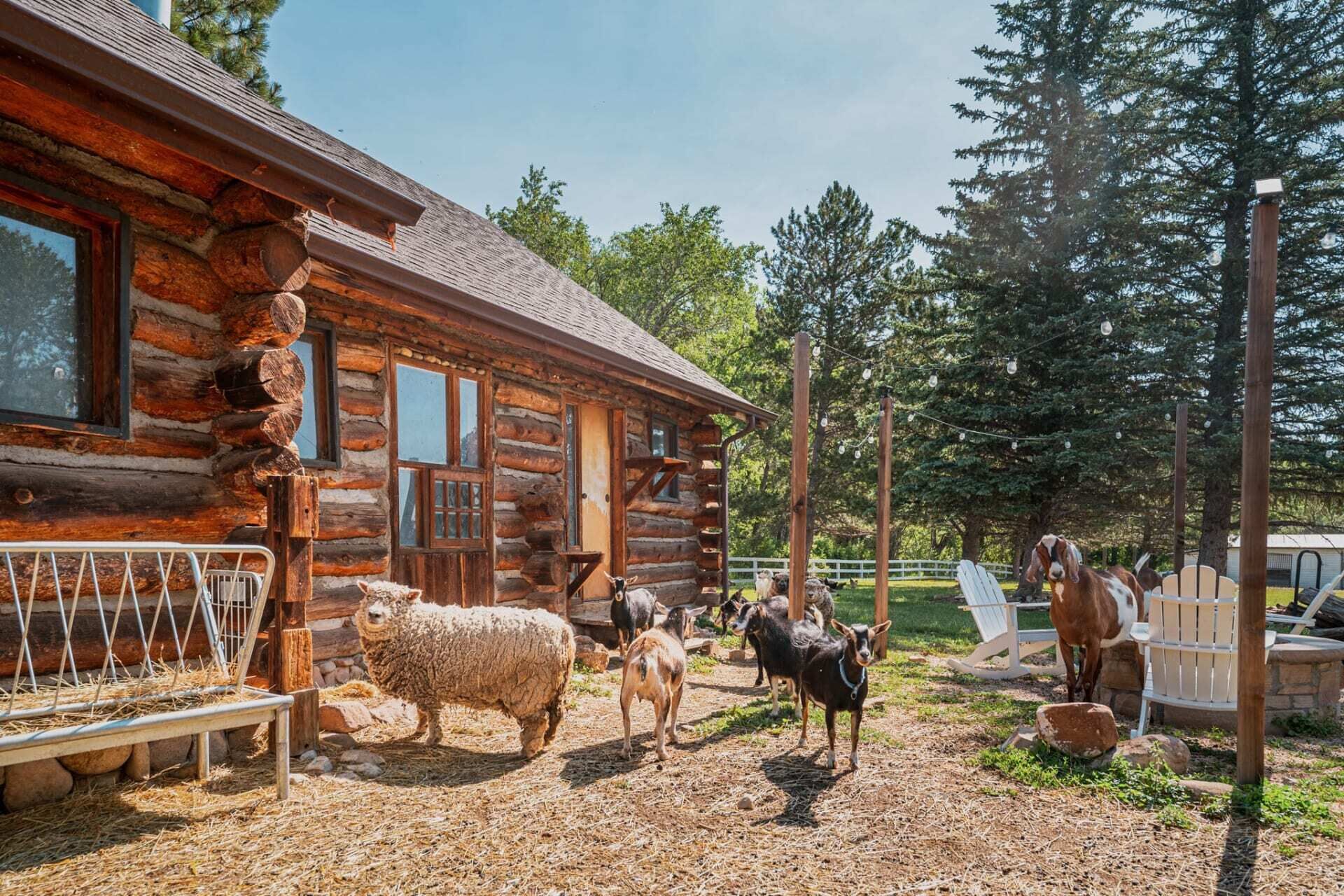 Enceinte de l’hébergement