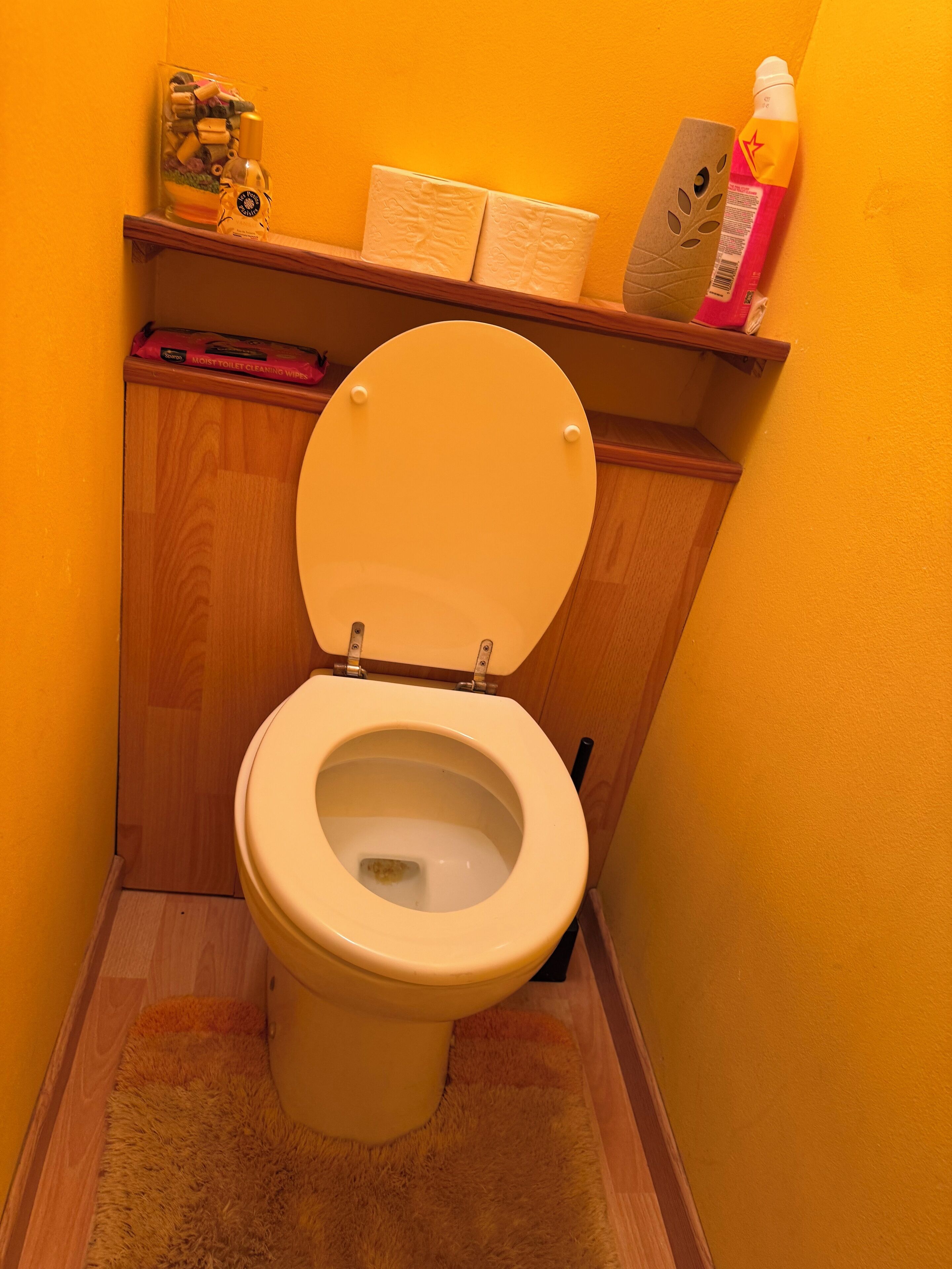 Une petite salle de bain avec des toilettes, une étagère en bois contenant des produits de nettoyage et un tapis moelleux.