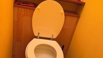 Une petite salle de bain avec des toilettes, une étagère en bois contenant des produits de nettoyage et un tapis moelleux.