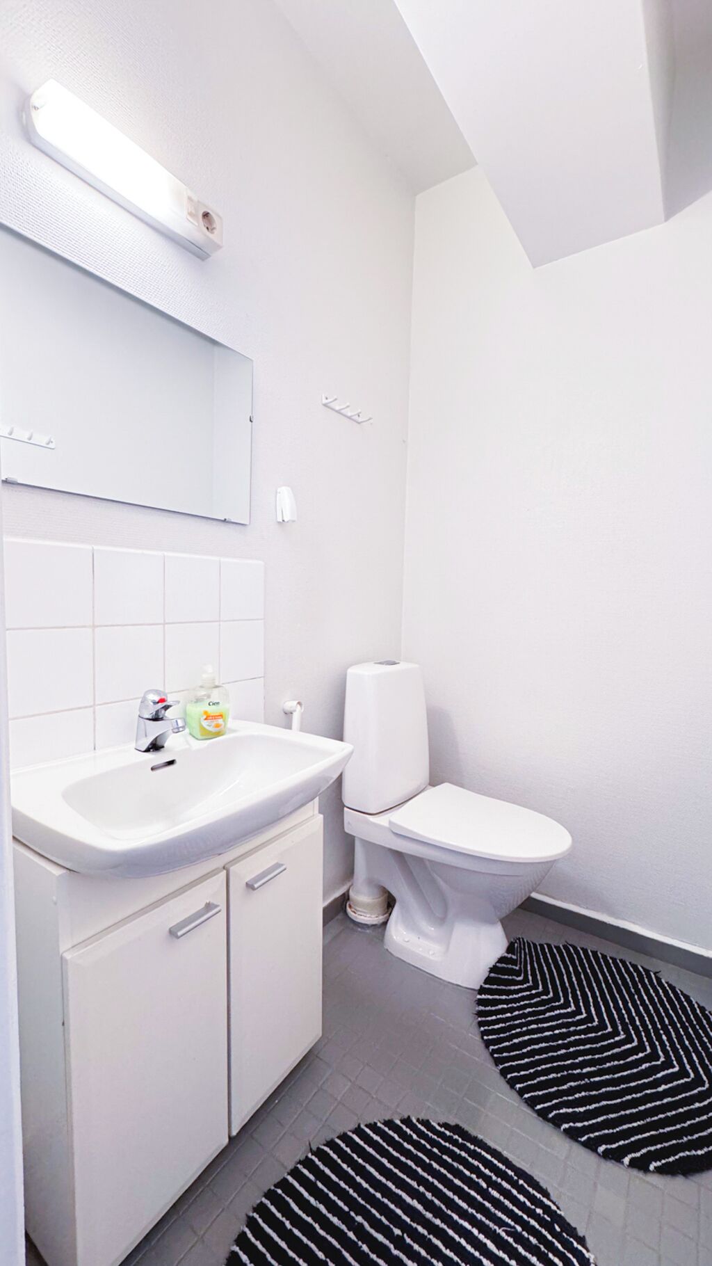 Hårtørrer, håndklæder, Sæbe, Toiletpapir