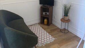 A living room with a green armchair, a wooden TV stand with a flat-screen TV, a small side table with a plant, and a patterned rug. - The little cocoon (Vierzon)