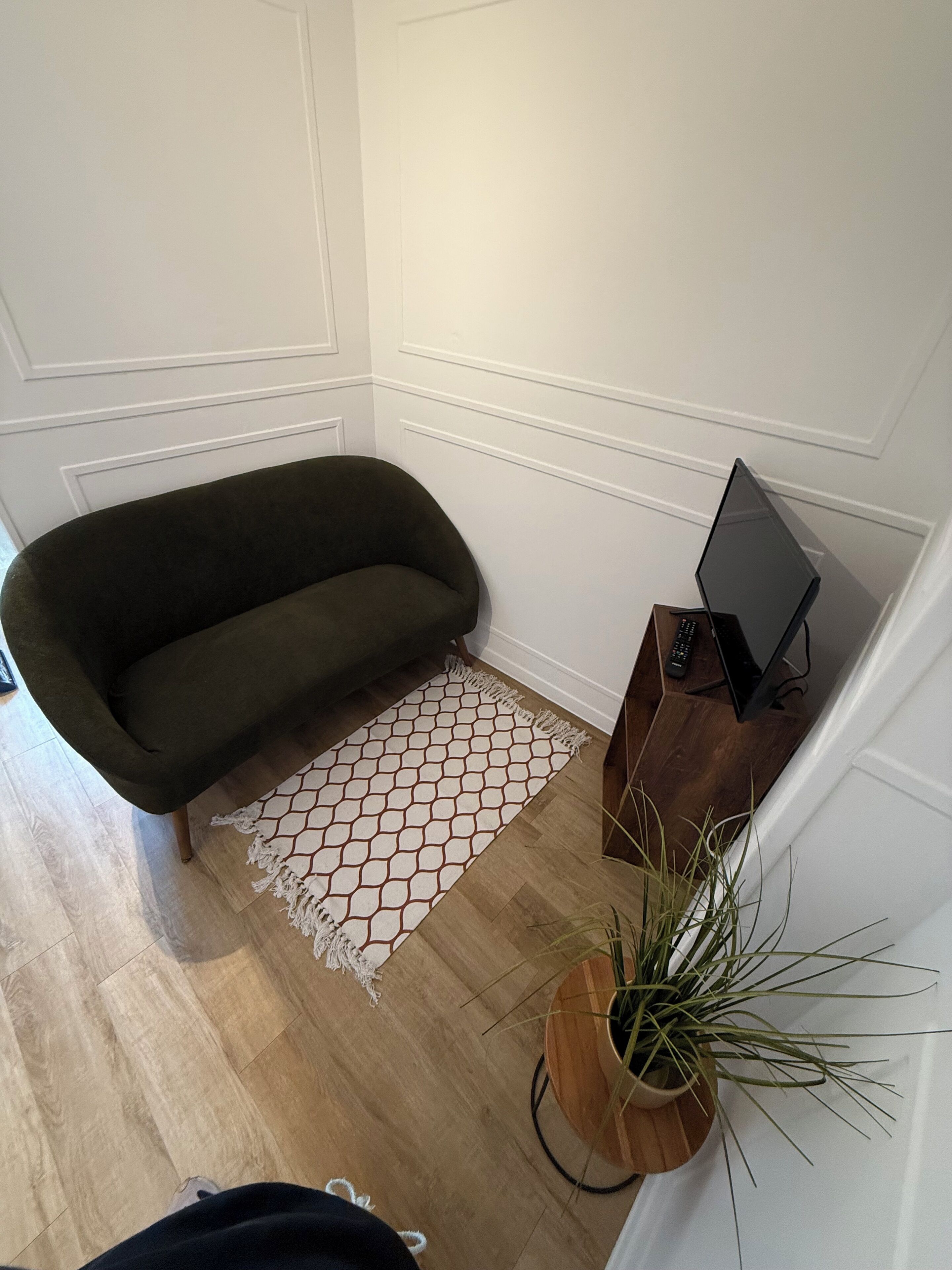 Een kamer met een donkergroene bank, een kleedje, een houten bijzettafeltje met een laptop en een potplant.