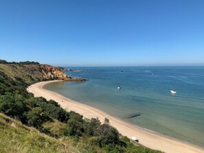 Beach - Stay amongst the birds. (Sandringham)