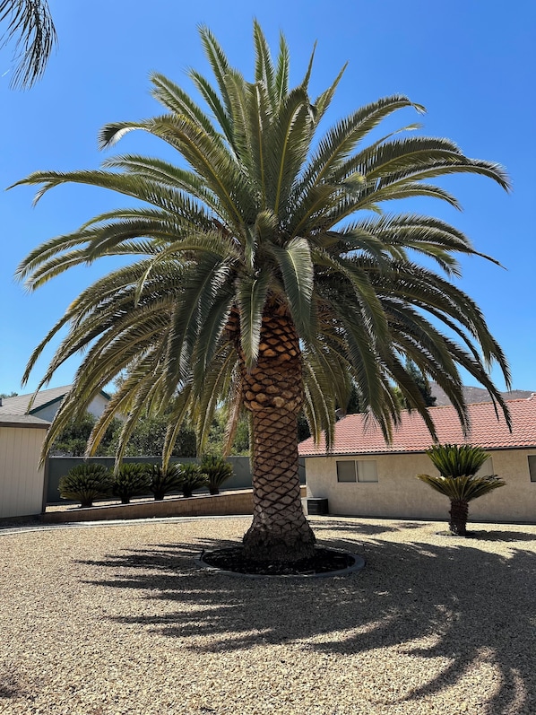 Property grounds - Spacious 4-bedroom house in Riverside with AC (Riverside)