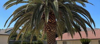 Spacious 4-bedroom house in Riverside with AC