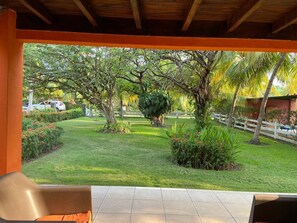 Un patio techado con vistas a un jardín cuidado, con diversos árboles y arbustos.