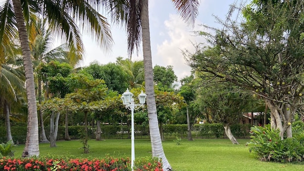 A lush garden with a swimming pool, palm trees, and a white lamp post.