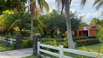 Un jardin tropical avec une clôture blanche, des palmiers et un bâtiment doté d’un toit rouge.