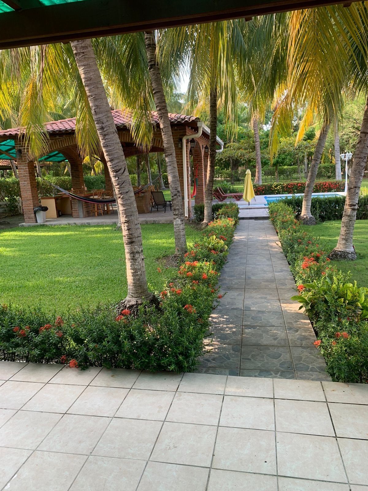 A pathway lined with palm trees and flowering plants, leading to a covered seating area with a pool in the background.