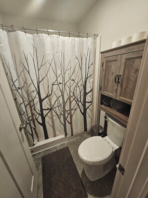 Hair dryer, towels, soap, toilet paper