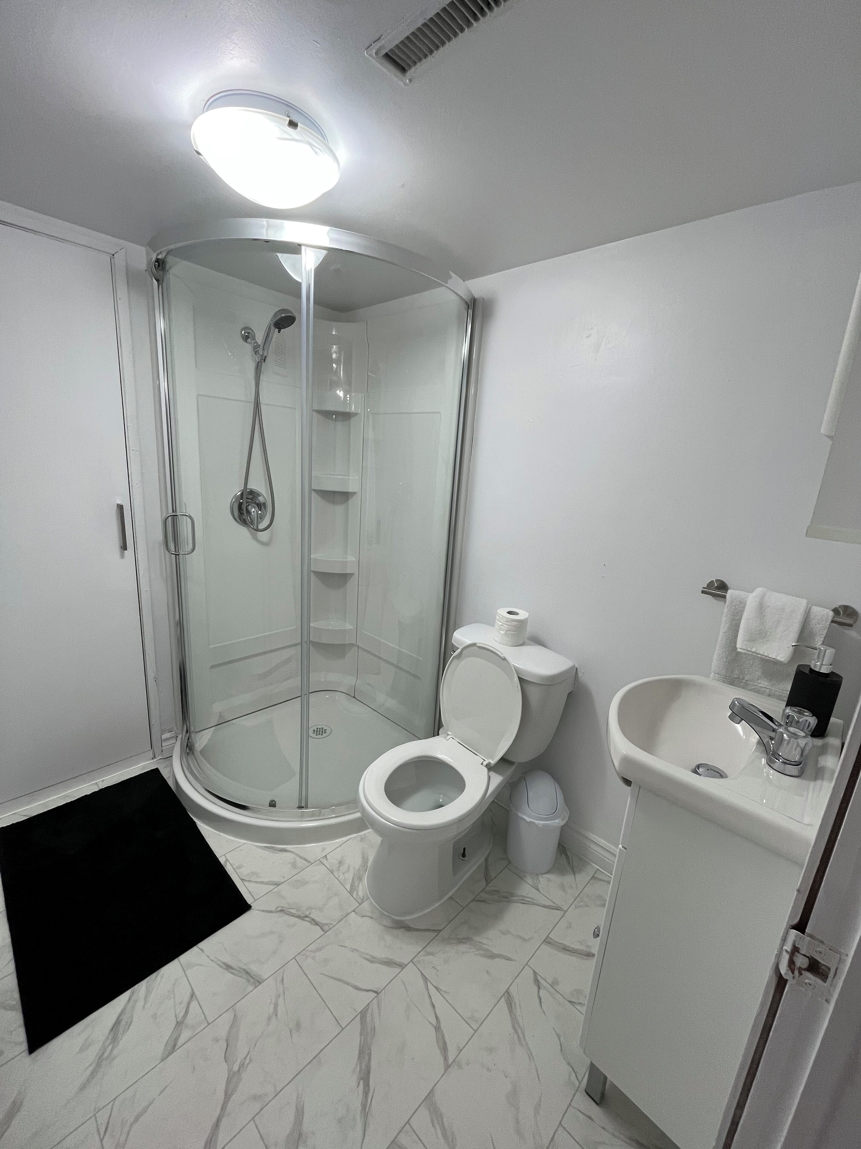 Hair dryer, towels, toilet paper