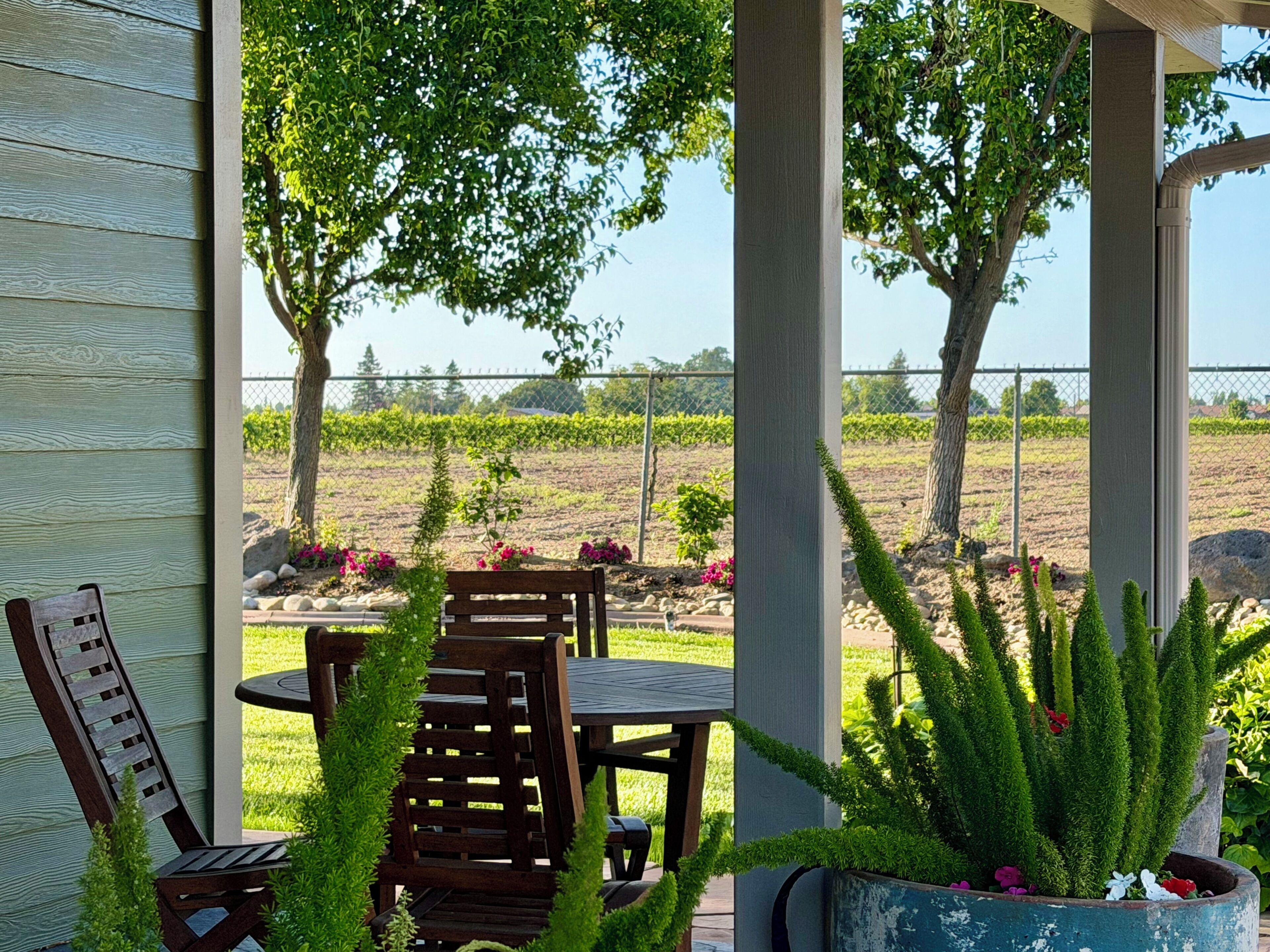 A covered patio with a wooden bench and table, a potted plant, and a view of a vineyard.