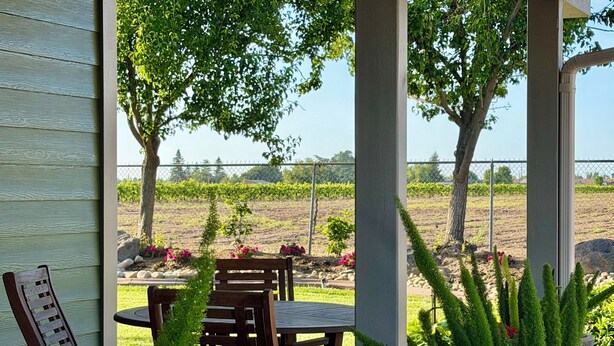 A covered patio with a wooden bench and table, a potted plant, and a view of a vineyard. - Cozy 1-Bedroom Guesthouse in the Country with HVAC, in Lodi (Lodi)