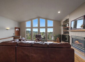Smart TV, fireplace, books