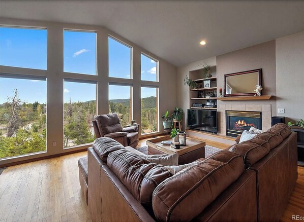 Smart TV, fireplace, books